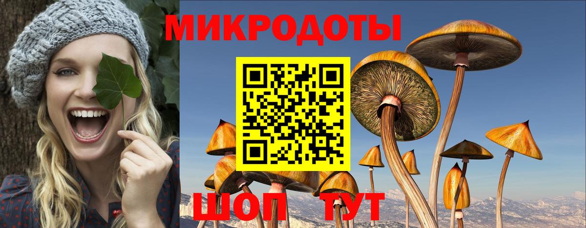 Галлюциногенные грибы Magic Shrooms  Вход с VPN  Елабуга 